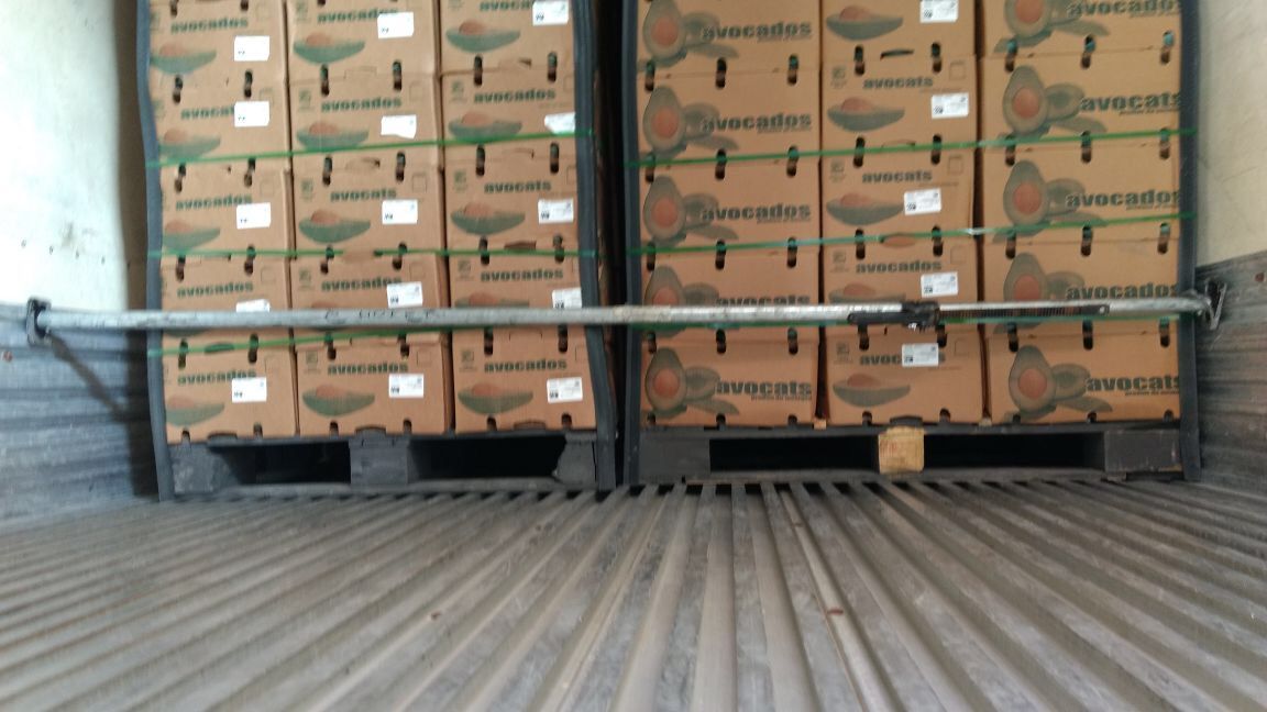 Contenedor de exportación FrutosMx®