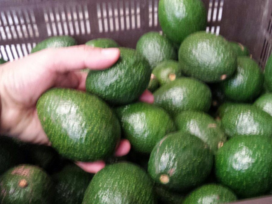 Selección de fruta